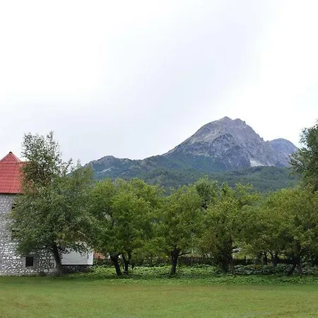 Jezerca *